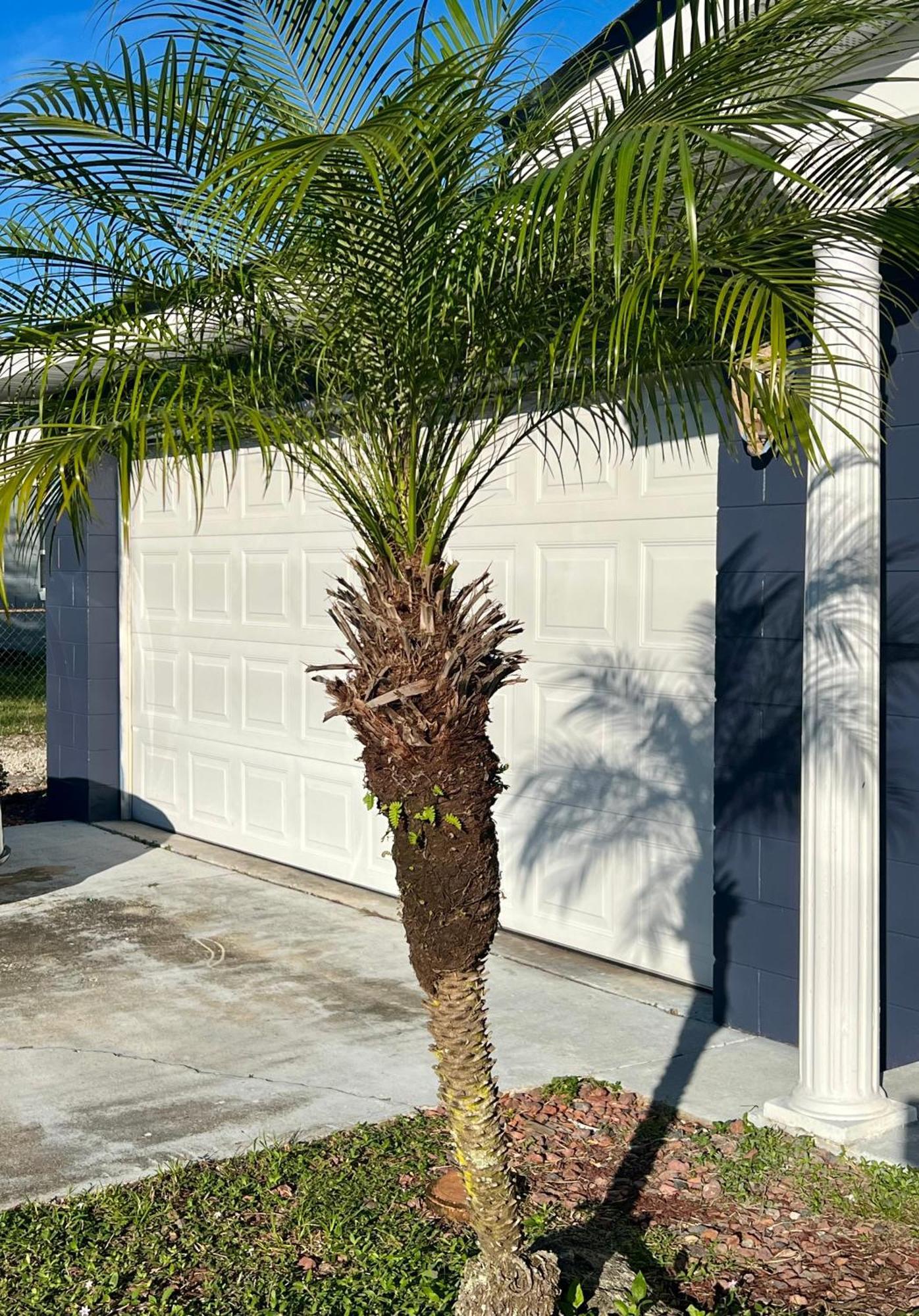 Pool House Oasis Villa Titusville Esterno foto